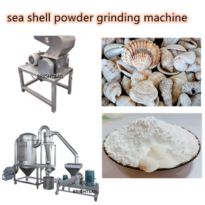 Seashell Grinding Machine