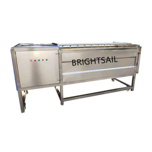 BSMG Brush Roller Cleaning & Peeling Machine